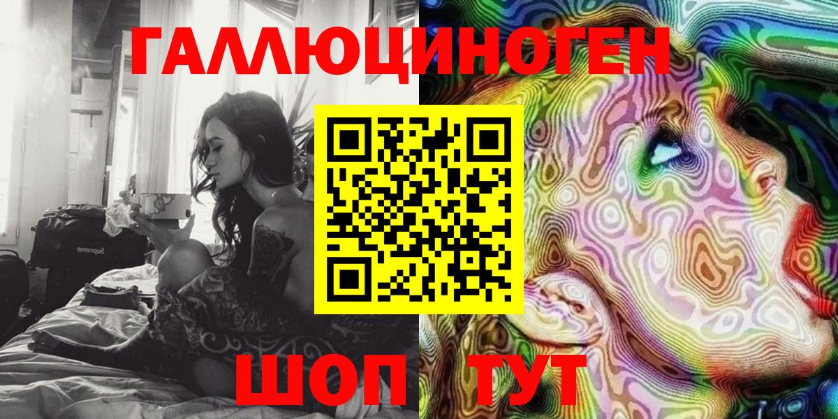 Псилоцибиновые грибы Psilocybe Лесозаводск