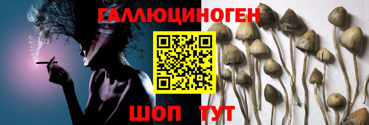 Лесозаводск  наркошоп  Вход с VPN  Псилоцибиновые грибы Magic Shrooms 